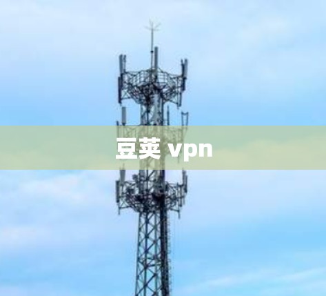豆荚 vpn