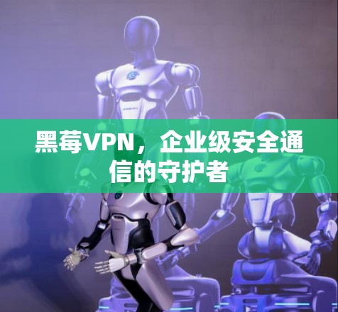 黑莓VPN，企业级安全通信的守护者